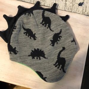 Baby Boy Dinosaur Hat